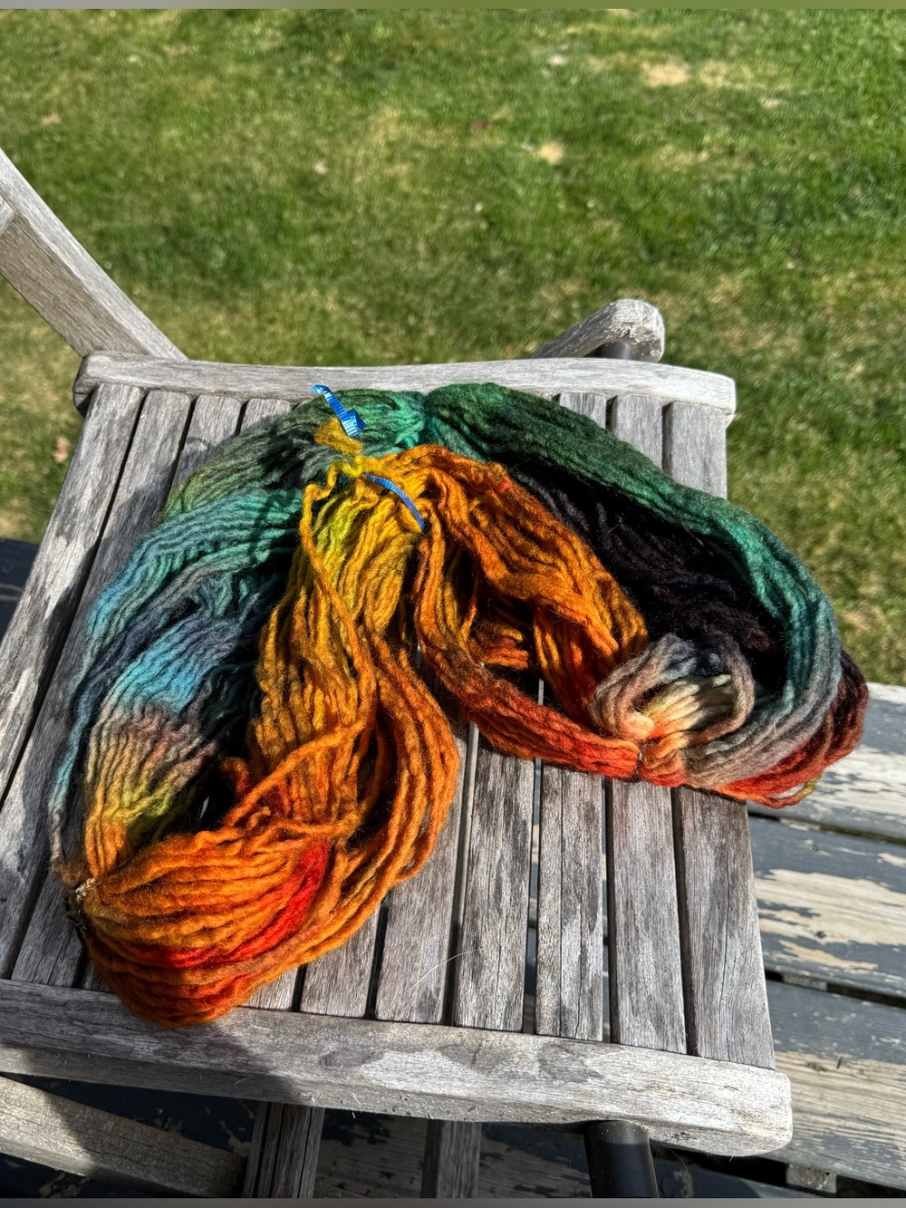 Hand-Dyed Multicolor Wool Yarn Skein - Vibrant Autumn Shades